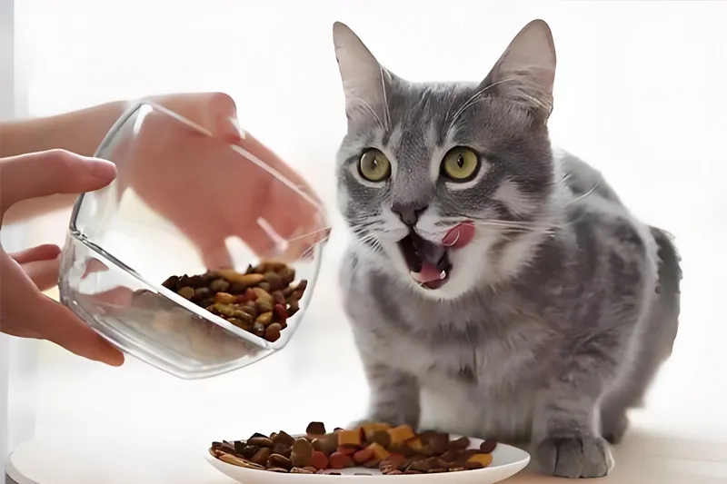 Mousse, chunks of meat, minced meat The formation principle of pet cans with different textures